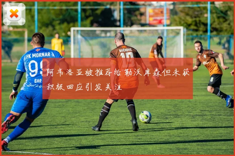 阿韦洛亚被推荐给勒沃库森但未获积极回应引发关注